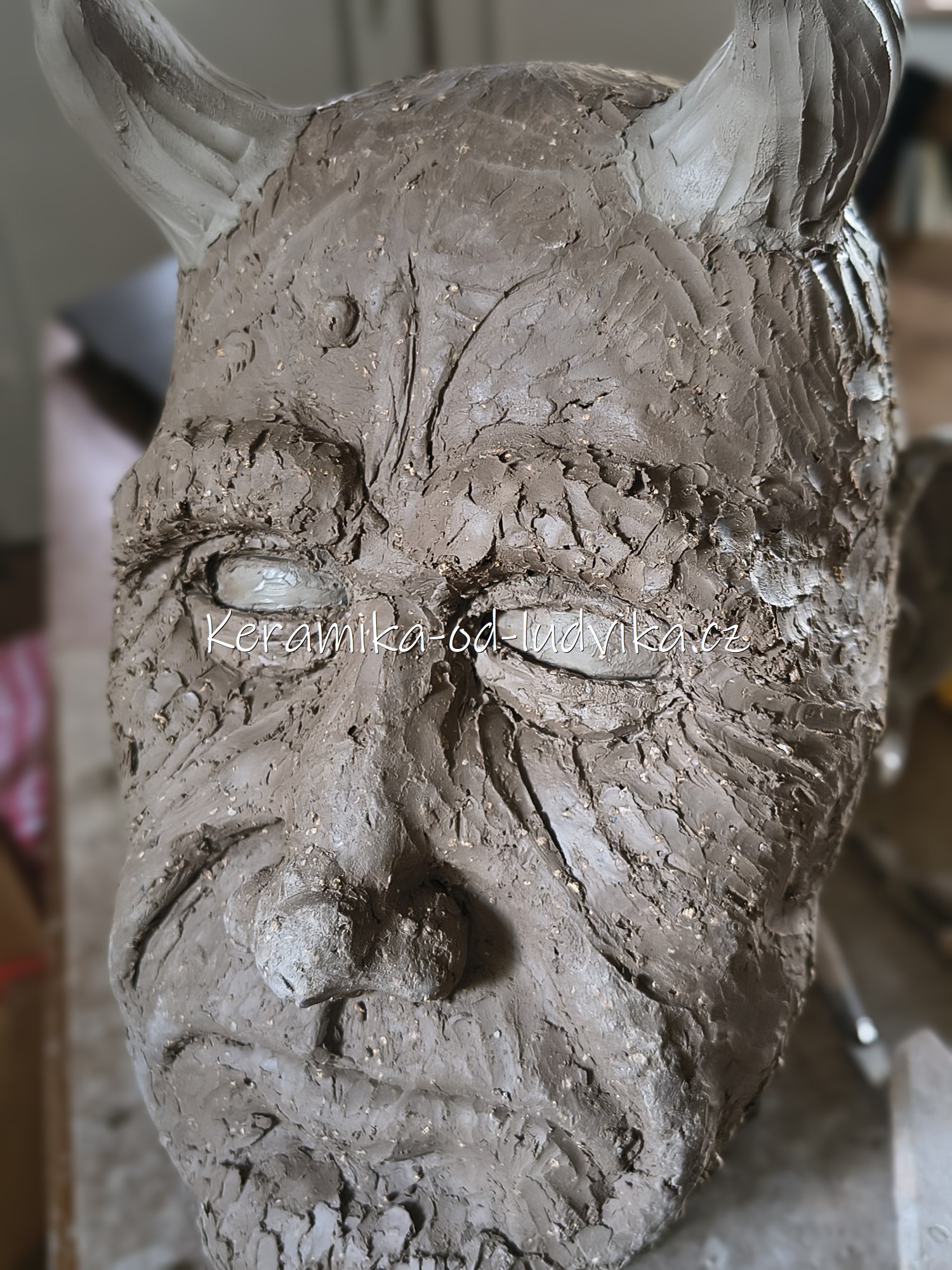 IMG_20250710_140800117_HDR_PORTRAIT