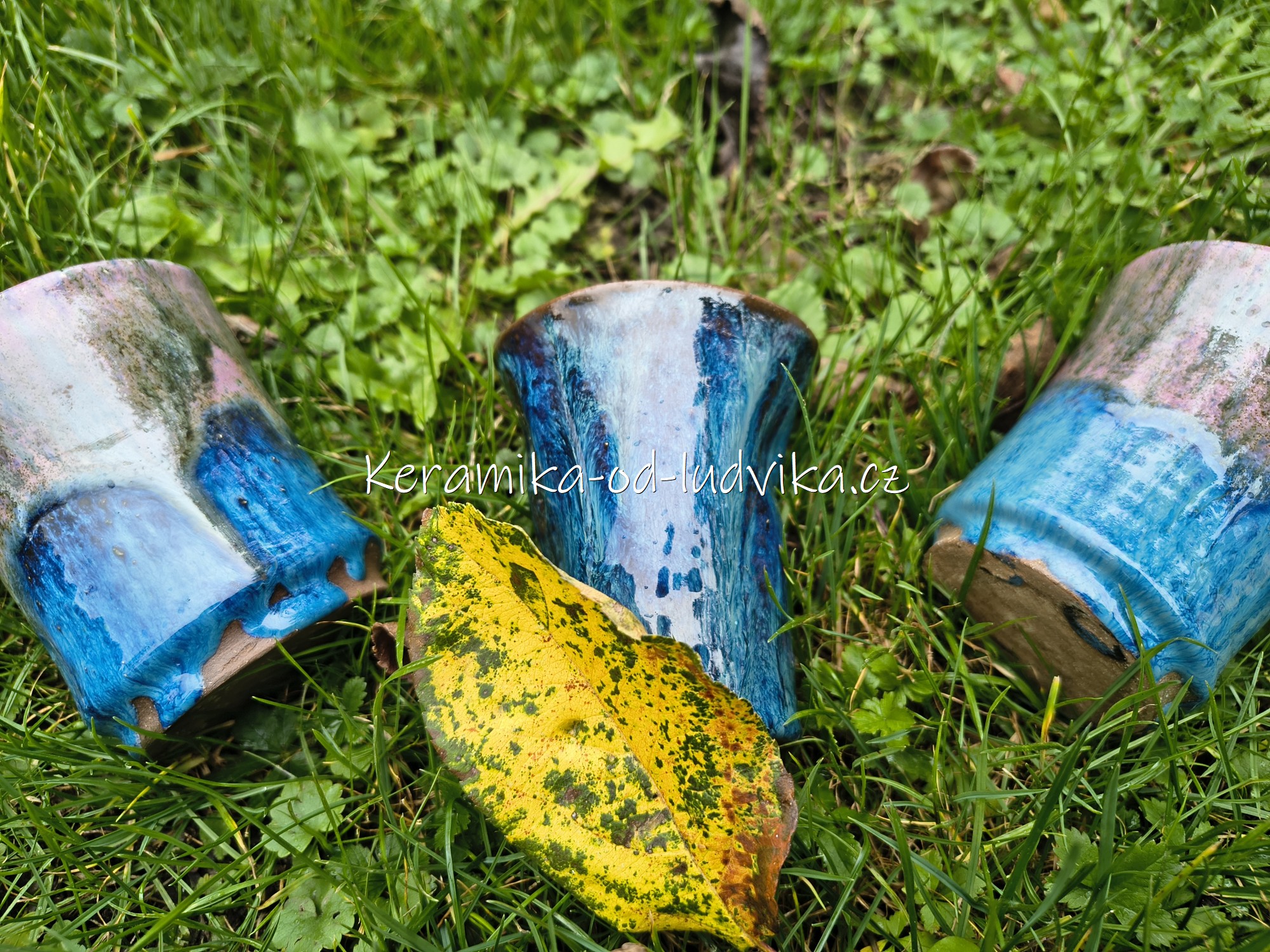 IMG_20251014_155152871_HDR